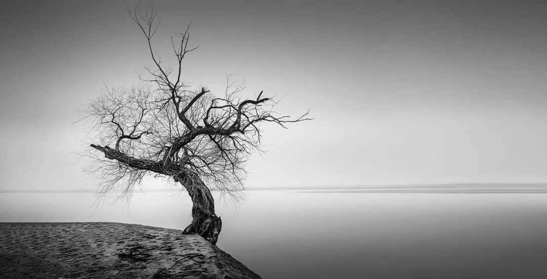 1588918768110176.jpg 13.jpg